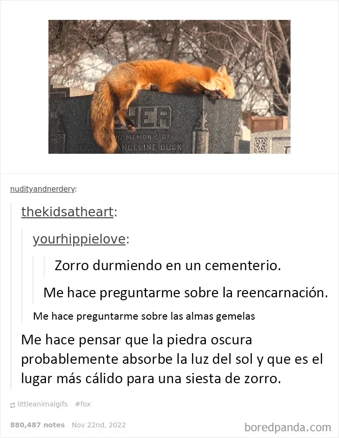 20 Divertidos memes sobre "humor científico (nuevas imágenes)