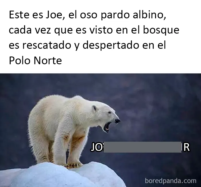 20 Divertidos memes sobre "humor científico (nuevas imágenes)