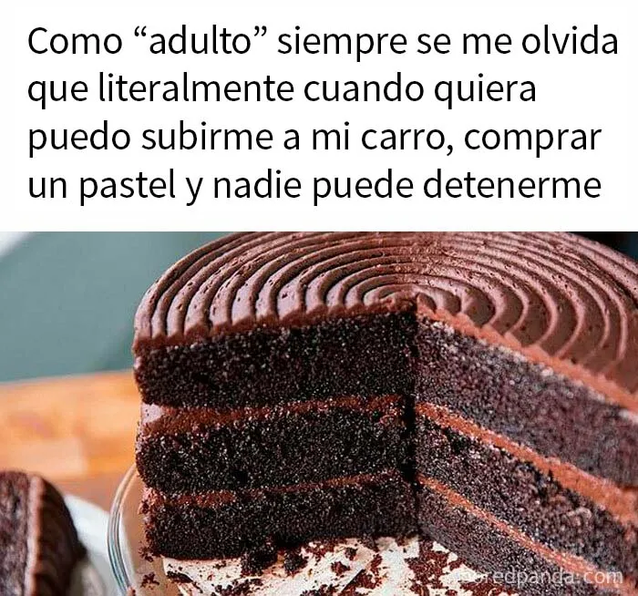 20 Divertidos memes que te resultarán muy familiares
