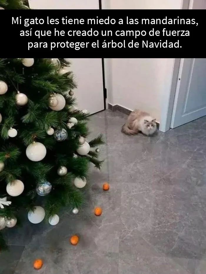 20 Imágenes de humor británico solo para entendidos