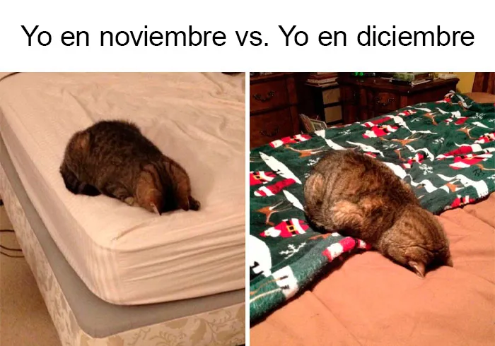 20 Memes navideños que te pondrán de buen humor (nuevas imágenes)
