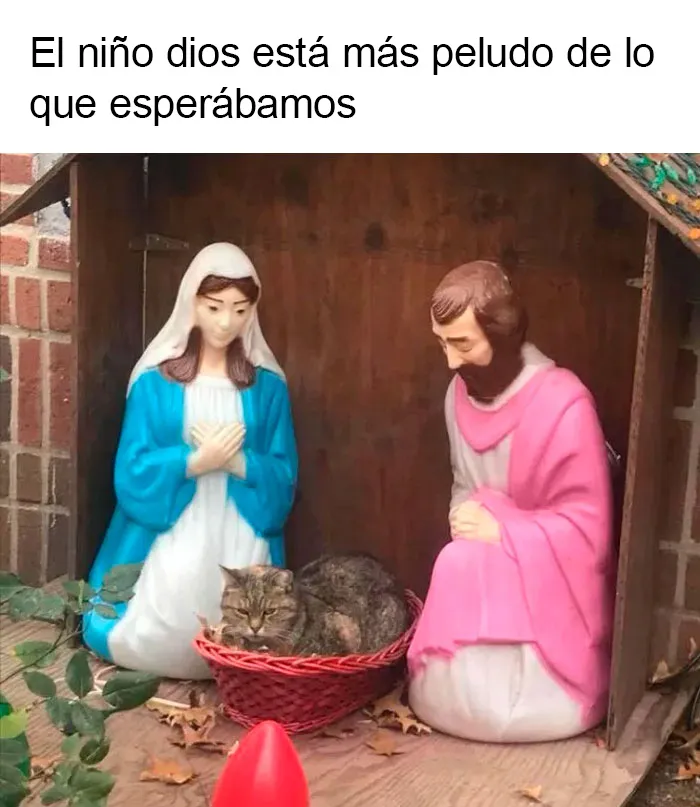 20 Memes navideños que te pondrán de buen humor (nuevas imágenes)