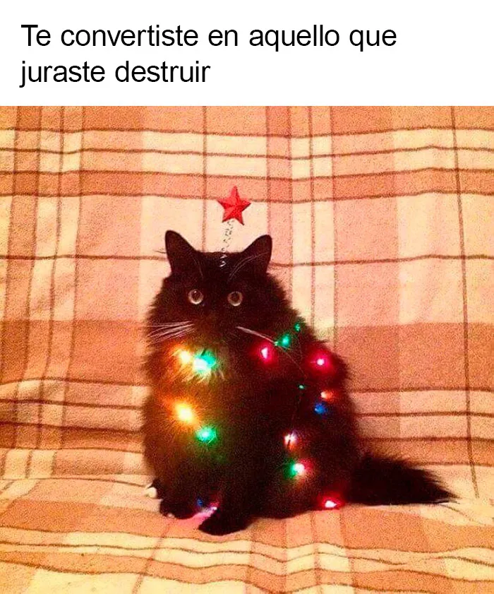 20 Memes navideños que te pondrán de buen humor (nuevas imágenes)