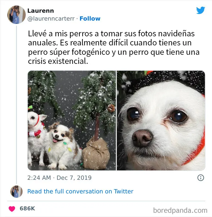 20 Memes navideños que te pondrán de buen humor (nuevas imágenes)