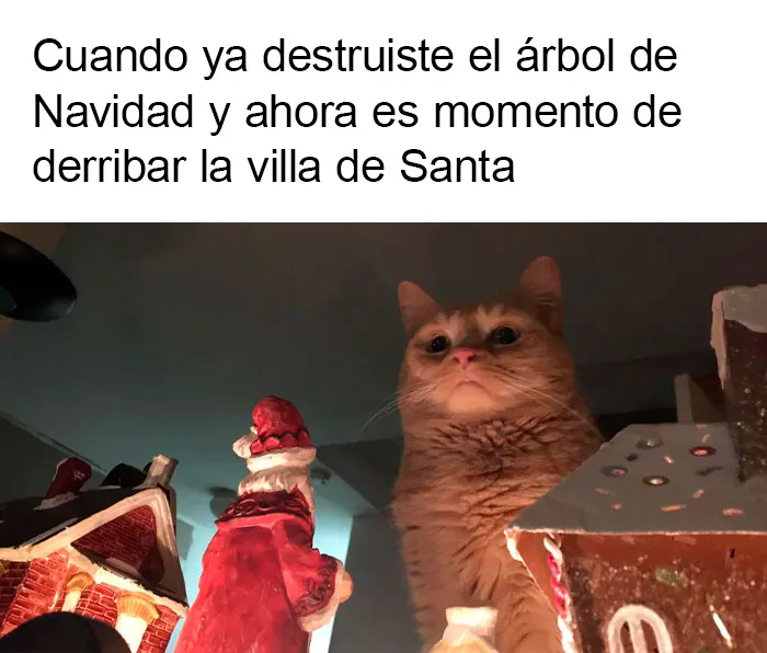 20 Memes navideños que te pondrán de buen humor (nuevas imágenes)
