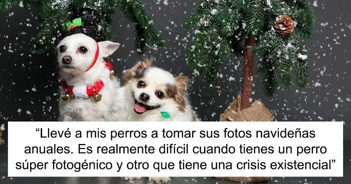 20 Memes navideños que te pondrán de buen humor (nuevas imágenes)