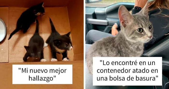 35 Hallazgos que cuesta creer que fueran sacados de la basura