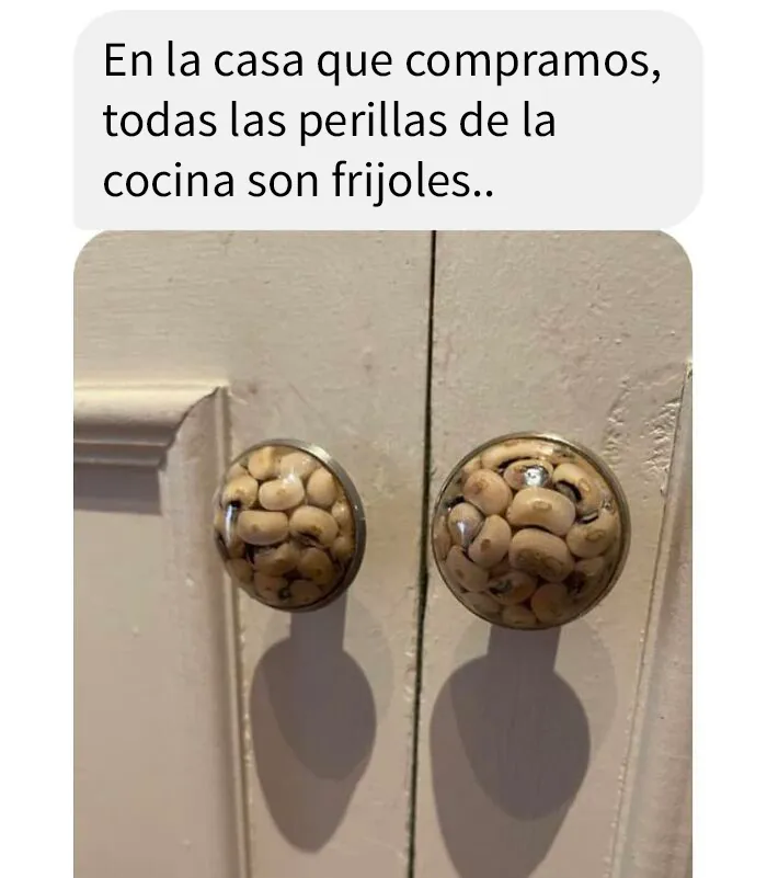 30 Lugares extraños y aleatorios donde la gente ha encontrado comida