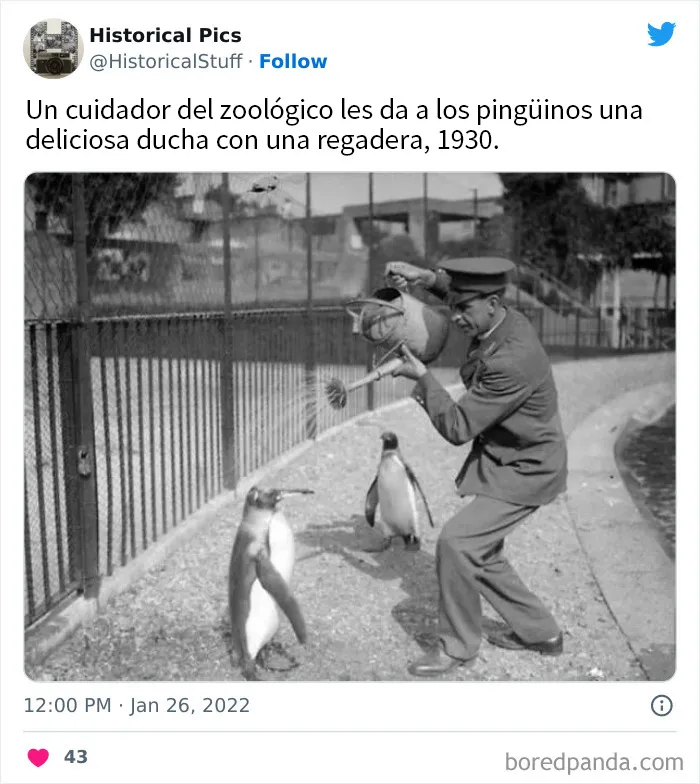 20 Interesantes fotos históricas compartidas en Twitter