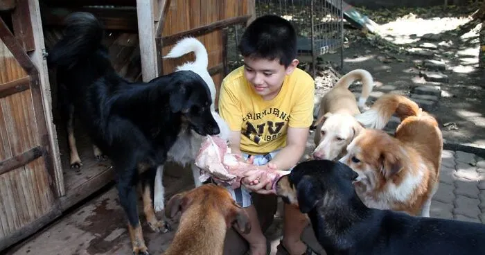 Este niño se escabullía de casa para alimentar a perros callejeros, y ahora tiene su propio refugio de animales