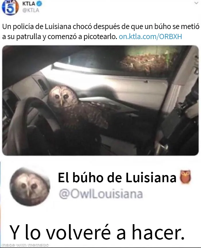 20 Memes para reirnos un poco del estilo de vida estadounidense