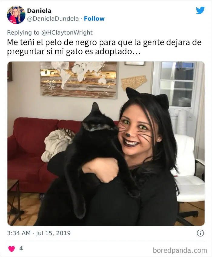 Gatos negros