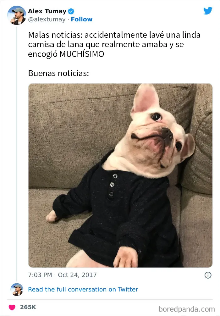 20 Tuits muy divertidos para alegrarte el día