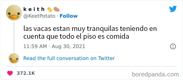 20 Tuits muy divertidos para alegrarte el día