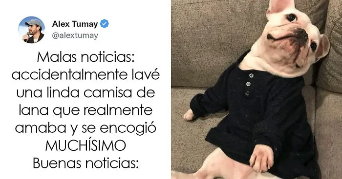 20 Tuits muy divertidos para alegrarte el día