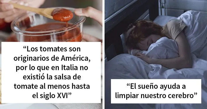 "Hoy aprendí": 25 cosas interesantes que la gente no aprendió en la escuela