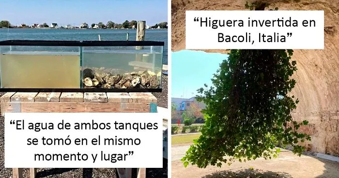 42 Nuevos e interesantes descubrimientos alrededor del mundo