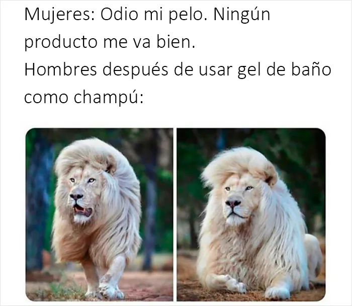 20 Memes geniales de esta página con "humor para hombres" con 11 millones de seguidores