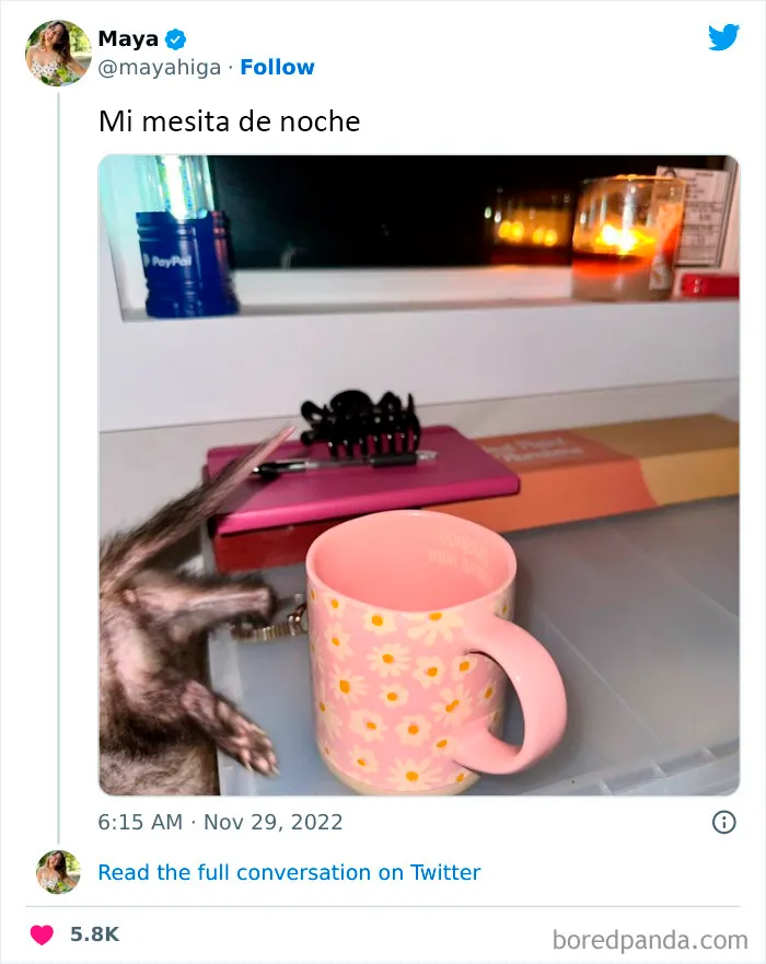 Elon Musk publicó una foto de su mesita de noche y en internet respondieron con memes (25 imágenes)