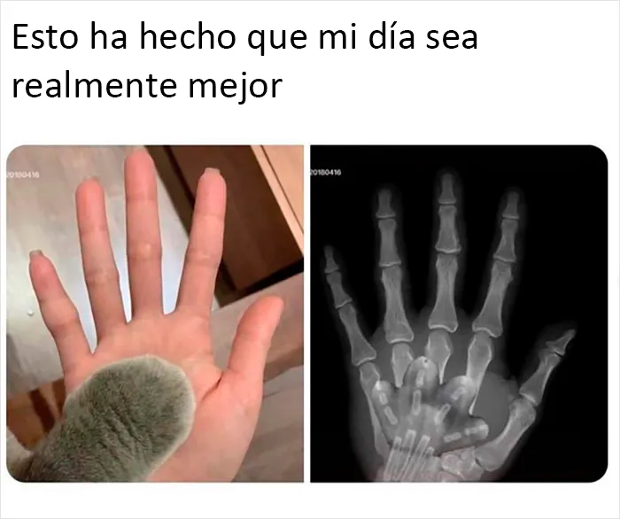 20 Memes geniales de esta página con "humor para hombres" con 11 millones de seguidores