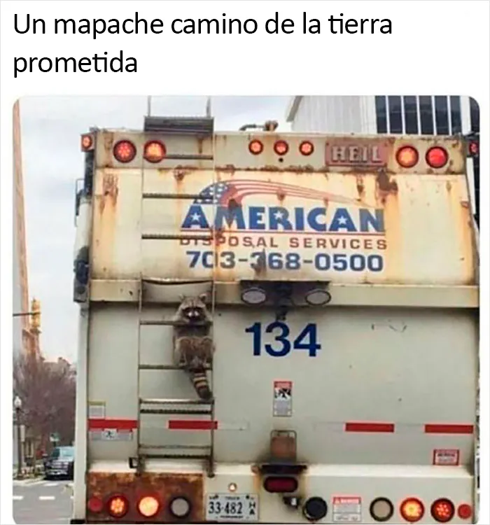20 Memes geniales de esta página con "humor para hombres" con 11 millones de seguidores