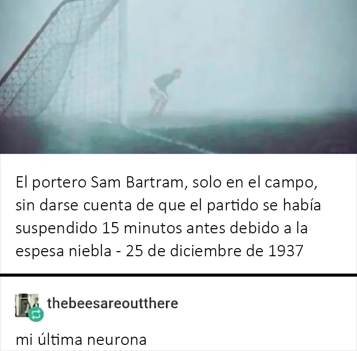 20 Memes científicos tan malos que en realidad son buenos (nuevas fotos)