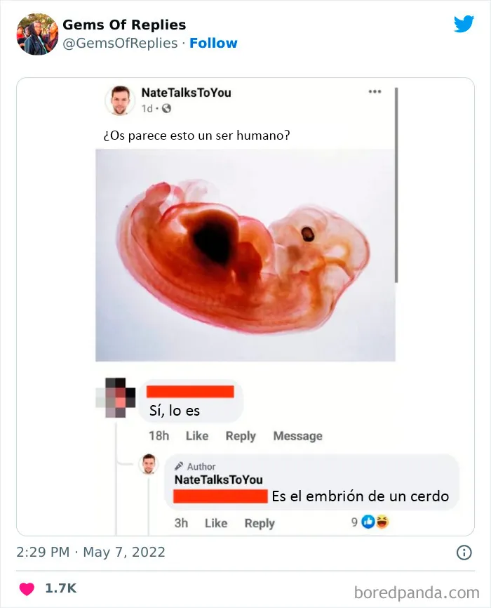 20 Réplicas muy salvajes vistas en Twitter (nuevas imágenes)