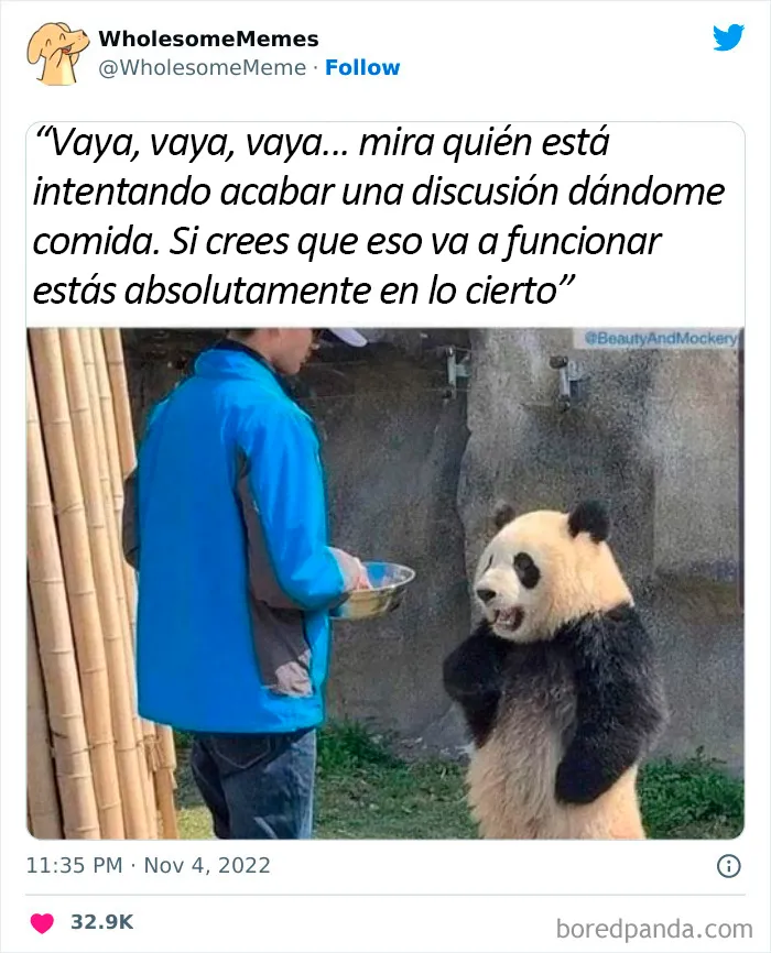 25 Memes reconfortantes para alegrarte el día (nuevas imágenes)