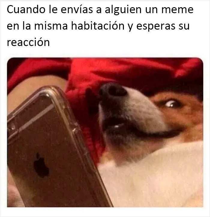 20 Memes geniales de esta página con "humor para hombres" con 11 millones de seguidores