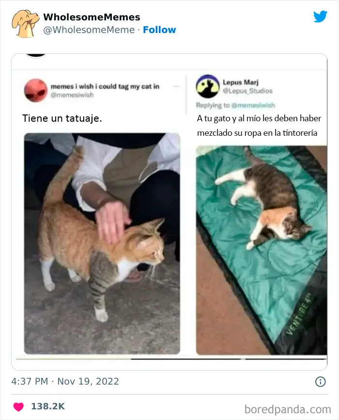 25 Memes reconfortantes para alegrarte el día (nuevas imágenes)