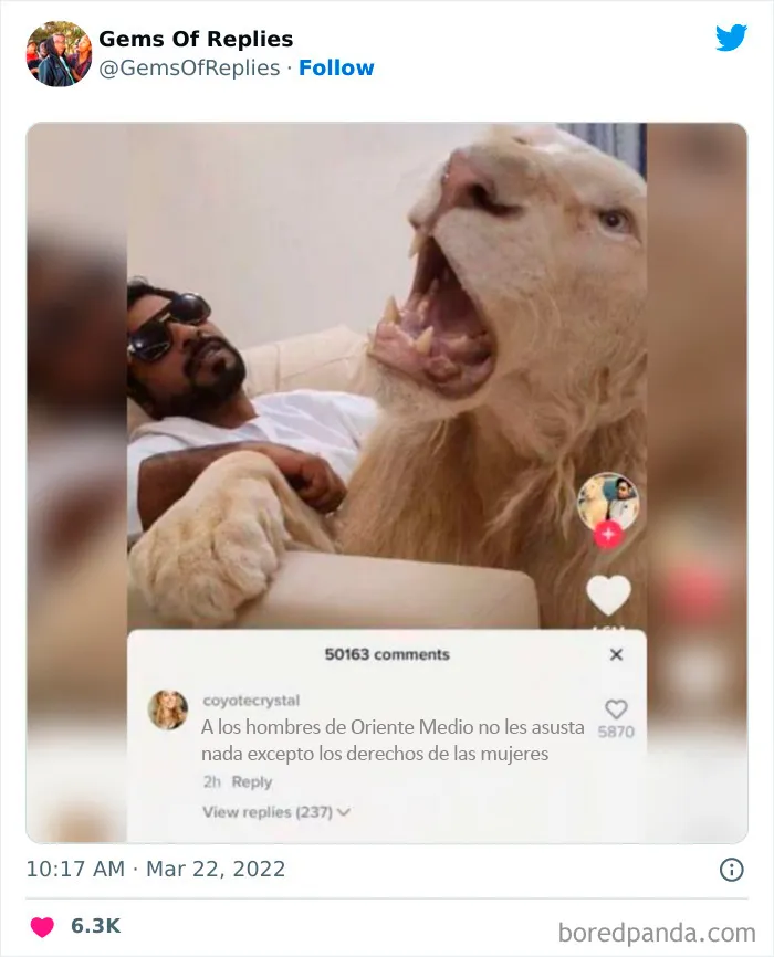20 Réplicas muy salvajes vistas en Twitter (nuevas imágenes)