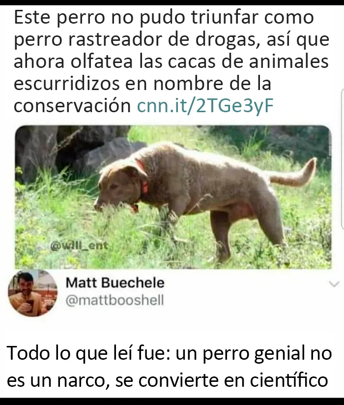 20 Memes científicos tan malos que en realidad son buenos (nuevas fotos)