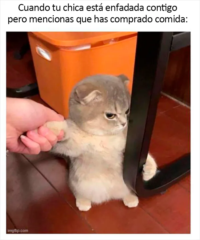 20 Memes geniales de esta página con "humor para hombres" con 11 millones de seguidores
