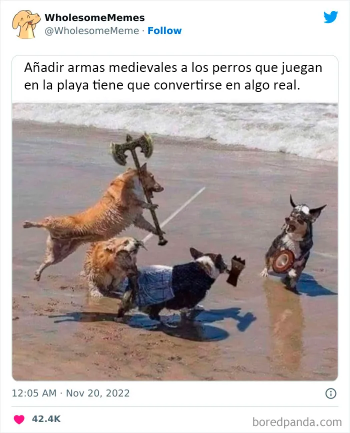 25 Memes reconfortantes para alegrarte el día (nuevas imágenes)