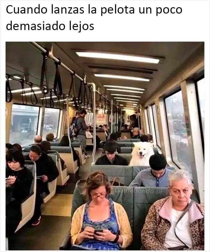 20 Memes geniales de esta página con "humor para hombres" con 11 millones de seguidores