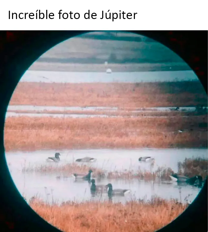 20 Memes científicos tan malos que en realidad son buenos (nuevas fotos)