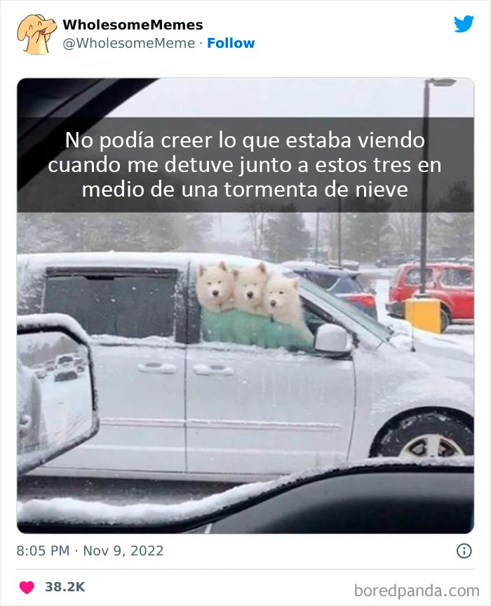 25 Memes reconfortantes para alegrarte el día (nuevas imágenes)