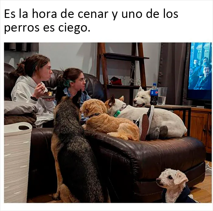 20 Memes geniales de esta página con "humor para hombres" con 11 millones de seguidores