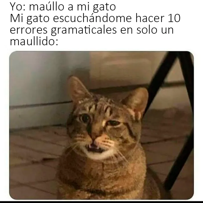 20 Memes científicos tan malos que en realidad son buenos (nuevas fotos)