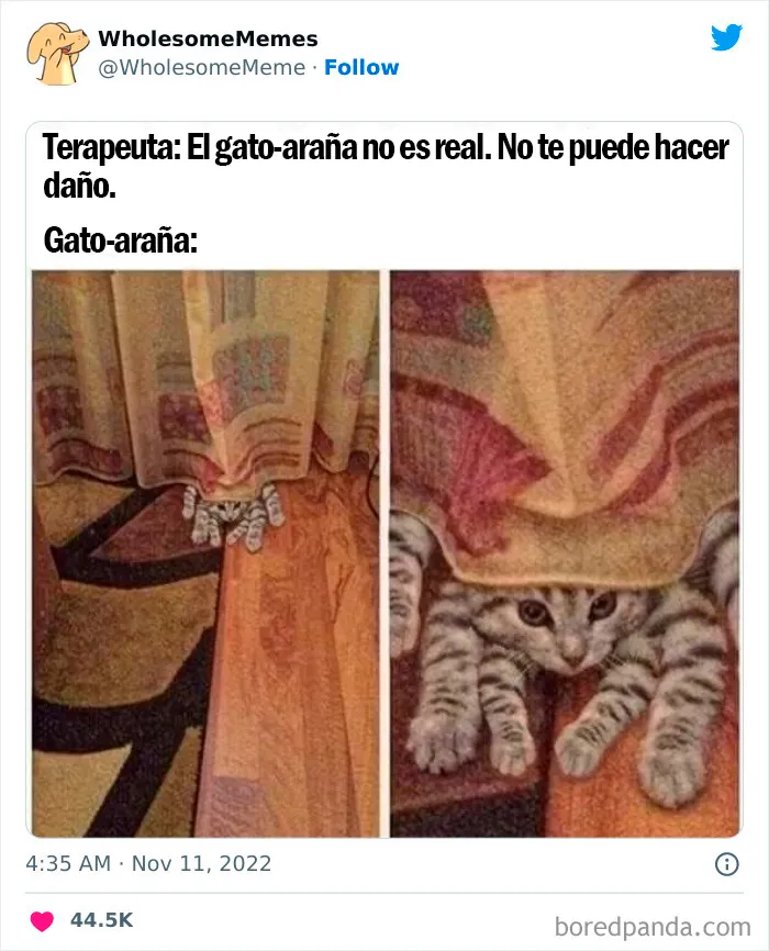 25 Memes reconfortantes para alegrarte el día (nuevas imágenes)