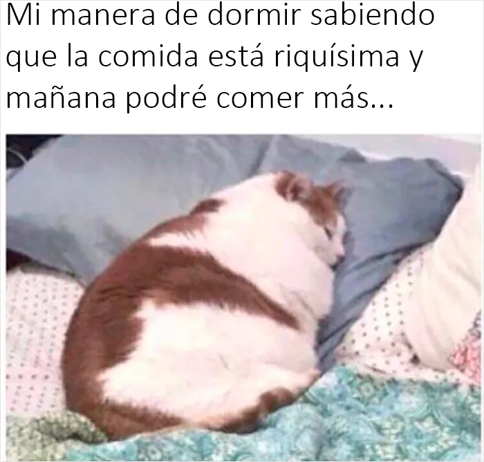 20 Memes geniales de esta página con "humor para hombres" con 11 millones de seguidores