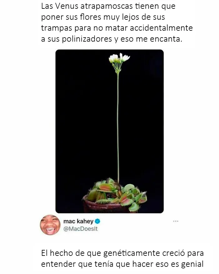 20 Memes científicos tan malos que en realidad son buenos (nuevas fotos)
