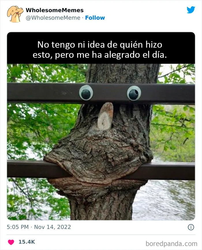 25 Memes reconfortantes para alegrarte el día (nuevas imágenes)