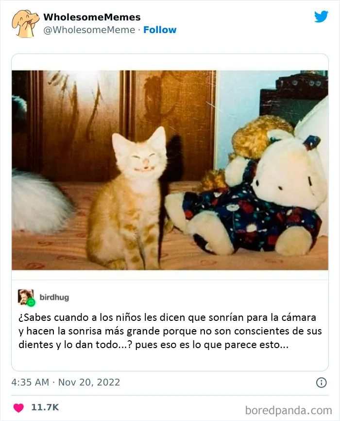 25 Memes reconfortantes para alegrarte el día (nuevas imágenes)