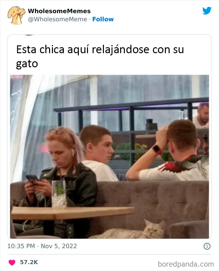 25 Memes reconfortantes para alegrarte el día (nuevas imágenes)