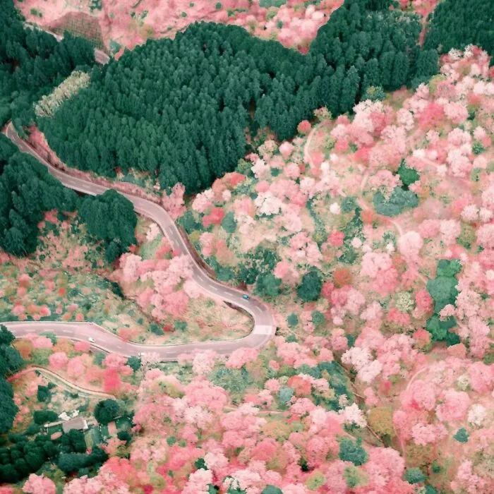 La colorida naturaleza de Japón desde el aire: 30 fotos con dron