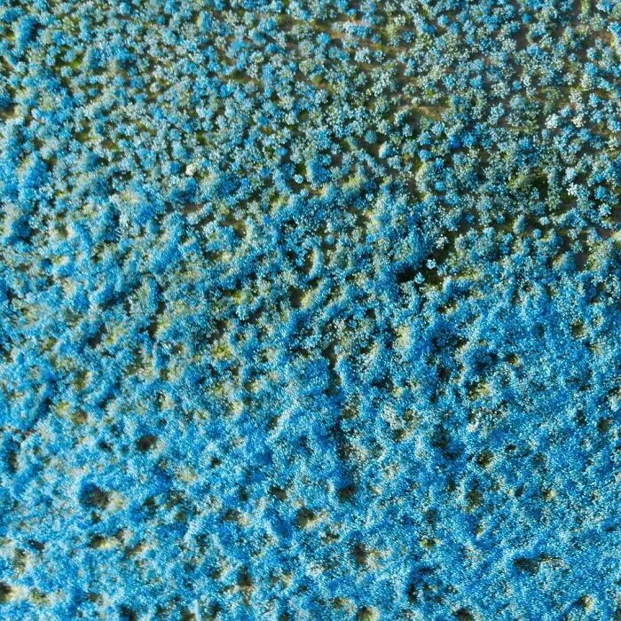 La colorida naturaleza de Japón desde el aire: 30 fotos con dron