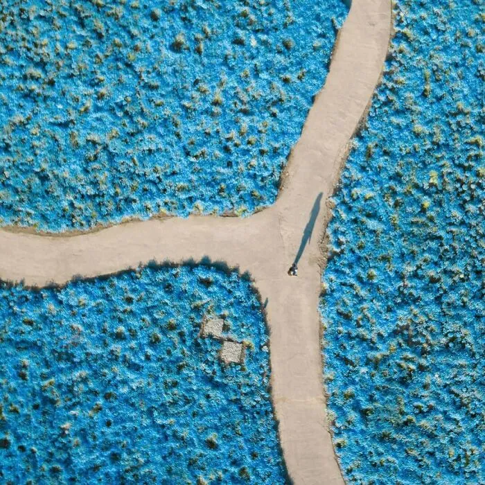 La colorida naturaleza de Japón desde el aire: 30 fotos con dron