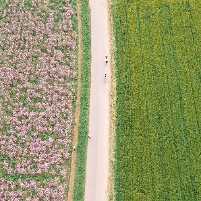 La colorida naturaleza de Japón desde el aire: 30 fotos con dron