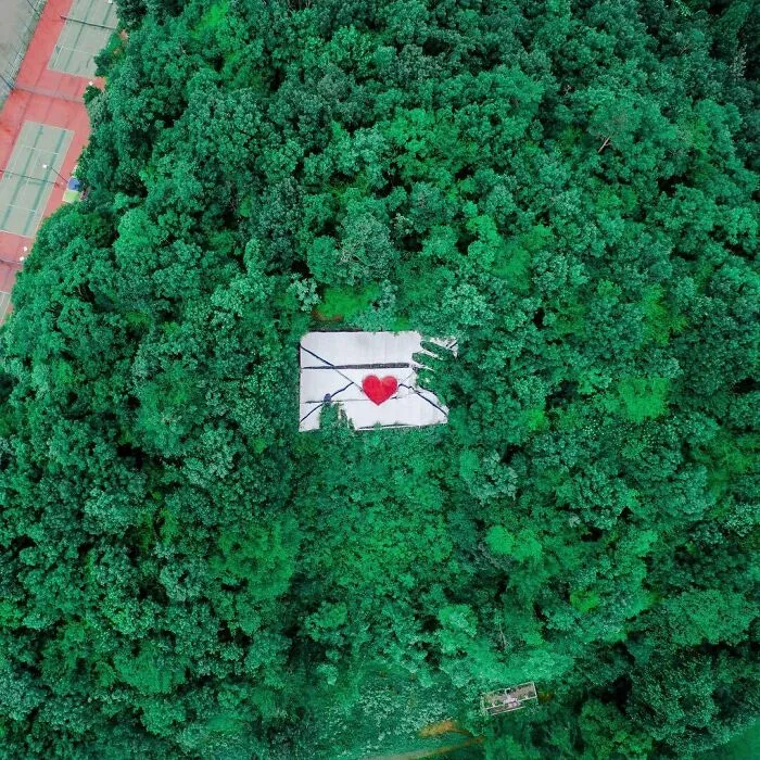 La colorida naturaleza de Japón desde el aire: 30 fotos con dron